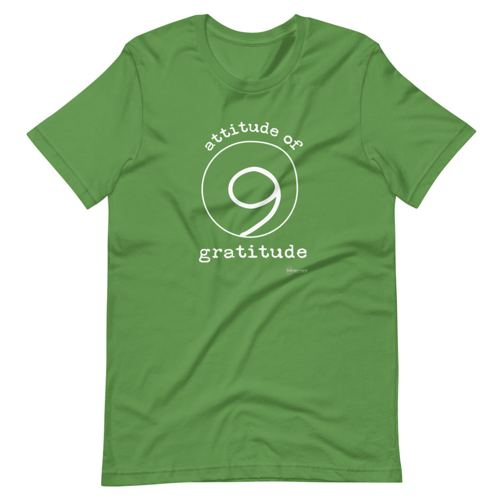 Attitude of Gratitude